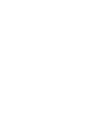 DPS Logo